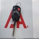 1FADP3K27FL326713 2015 Ford Focus Se auction photo thumbnail 11
