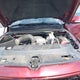 1C6SRFJTXMN775402 2021 Ram 1500 Laramie 4X4 5'7 Box auction photo thumbnail 10