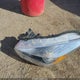 1FMCU9J98KUA19163 2019 Ford Escape Titanium auction photo thumbnail 12