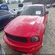 1ZVFT80NX75345977 2007 Ford Mustang V6 Deluxe/V6 Premium auction photo thumbnail 12