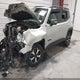ZACNJDC18MPM51897 2021 Jeep Renegade Trailhawk 4X4 auction photo thumbnail 2