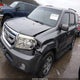 5FNYF4H55BB044637 2011 Honda Pilot Ex-L auction photo thumbnail 2