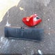 1HGCV1F17KA172397 2019 Honda Accord Lx auction photo thumbnail 12