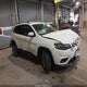 1C4PJLLBXKD262078 2019 Jeep Cherokee Latitude Plus Fwd auction photo thumbnail 1