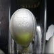 KNAFT4A24B5341851 2011 Kia Forte Lx auction photo thumbnail 15