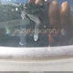 1HGCR2F86DA081597 2013 Honda Accord Ex-L auction photo thumbnail 17