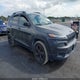 1C4PJMDS5HW504857 2017 Jeep Cherokee High Altitude 4X4 auction photo thumbnail 1