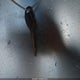 1D7HA18D54S610294 2004 Dodge Ram 1500 Slt/Laramie auction photo thumbnail 11