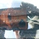 4T1BF1FK5HU433514 2017 Toyota Camry Se auction photo thumbnail 9