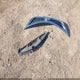 1N4AL3AP9DC114730 2013 Nissan Altima 2.5 S auction photo thumbnail 12