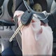 JTEHH20V226064815 2002 Toyota Rav4 auction photo thumbnail 11