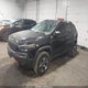 1C4PJMBN0KD277545 2019 Jeep Cherokee Trailhawk auction photo thumbnail 2
