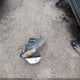 1FA6P8CF6F5406547 2015 Ford Mustang Gt Premium auction photo thumbnail 12