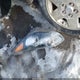 KNDPMCAC3N7028337 2022 Kia Sportage Lx auction photo thumbnail 12