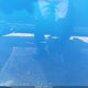 3N1AB6AP3CL675302 2012 Nissan Sentra 2.0 Sr auction photo thumbnail 12