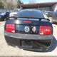 1ZVHT82H085104849 2008 Ford Mustang Gt Deluxe/Gt Premium auction photo thumbnail 17