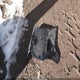 1HGFA16598L111092 2008 Honda Civic Lx auction photo thumbnail 12