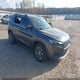 1C4PJLLB9LD531009 2020 Jeep Cherokee Latitude Plus Fwd auction photo thumbnail 1