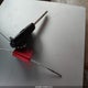 1HGCM55724A039680 2004 Honda Accord 2.4 Ex auction photo thumbnail 11