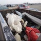 1GCEC14K0RZ228510 1994 Chevrolet Gmt-400 C1500 auction photo thumbnail 8