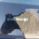 3GCPWBEK8MG213346 2021 Chevrolet Silverado 1500 2Wd Short Bed Custom auction photo thumbnail 17