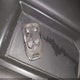 3GCUYDED3LG261376 2020 Chevrolet Silverado 1500 4Wd Short Bed Lt auction photo thumbnail 11