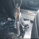 KMHM34ACXPA022404 2023 Hyundai Ioniq 6 Sel auction photo thumbnail 11