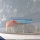 3VWDB7AJ2HM252351 2017 Volkswagen Jetta 1.4T Se auction photo thumbnail 17