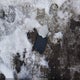 3C4PDDGG6GT108875 2016 Dodge Journey Crossroad Plus auction photo thumbnail 12
