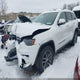 1C4RJFBG0HC784529 2017 Jeep Grand Cherokee Limited 4X4 auction photo thumbnail 2
