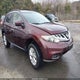 JN8AZ1MW2DW320555 2013 Nissan Murano Sv auction photo thumbnail 1