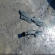 KNAG64J7XS5353042 2025 Kia K5 Gt-Line auction photo thumbnail 12