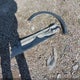 3N1CP5CV1LL529920 2020 Nissan Kicks Sv Xtronic Cvt auction photo thumbnail 12
