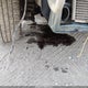 WDBJF65F4WA521646 1998 Mercedes-Benz E 320 auction photo thumbnail 17