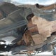 5J6YH18958L009012 2008 Honda Element Sc auction photo thumbnail 21