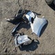 5GAERBKW1LJ300333 2020 Buick Enclave Essence auction photo thumbnail 12