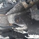 1FTFW1E1XKFB61231 2019 Ford F-150 Lariat auction photo thumbnail 9