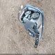 1G1YY22G815121048 2001 Chevrolet Corvette auction photo thumbnail 12