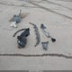 KNDPMCACXJ7446887 2018 Kia Sportage Lx auction photo thumbnail 12