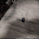 5TEPM62N64Z454614 2004 Toyota Tacoma auction photo thumbnail 11
