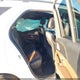 4JGFB6BB3RB111371 2024 Mercedes-Benz Amg Gle 53 4Matic+ auction photo thumbnail 8
