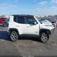 ZACNJBD1XLPL89145 2020 Jeep Renegade Limited 4X4 auction photo thumbnail 13