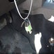 1J4PR4GK7AC119841 2010 Jeep Grand Cherokee Laredo auction photo thumbnail 11