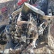 1FTFW1E57PFB18556 2023 Ford F-150 Platinum auction photo thumbnail 10