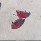 3KPF44AC5RE717920 2024 Kia Forte Gt auction photo thumbnail 12