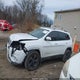 1C4PJMDXXLD526644 2020 Jeep Cherokee Limited 4X4 auction photo thumbnail 14