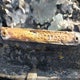 5TEHN72N34Z370287 2004 Toyota Tacoma Base V6 auction photo thumbnail 9