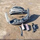 5XYP34GC0RG534412 2024 Kia Telluride Ex auction photo thumbnail 12