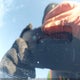 5YJ3E1EA9MF922795 2021 Tesla Model 3 Standard Range Plus Rear-Wheel Drive auction photo thumbnail 9