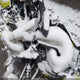 LOT-1-44490358 2018 Ski-Doo Renegade X 850 auction photo thumbnail 10